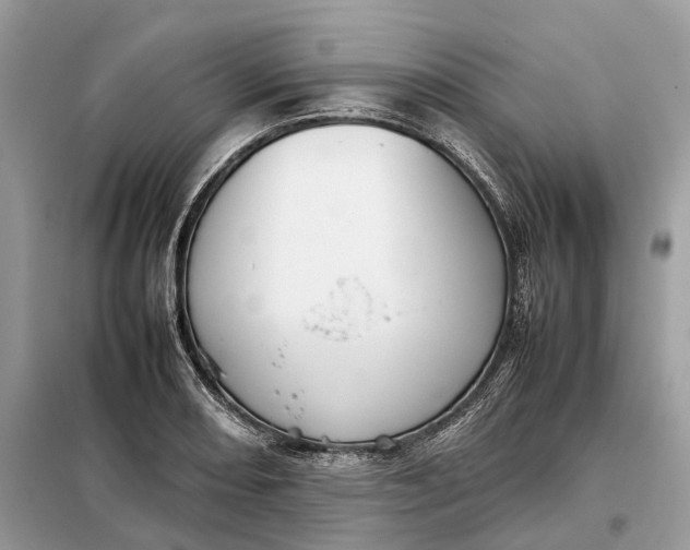 X0000099231082200805081551