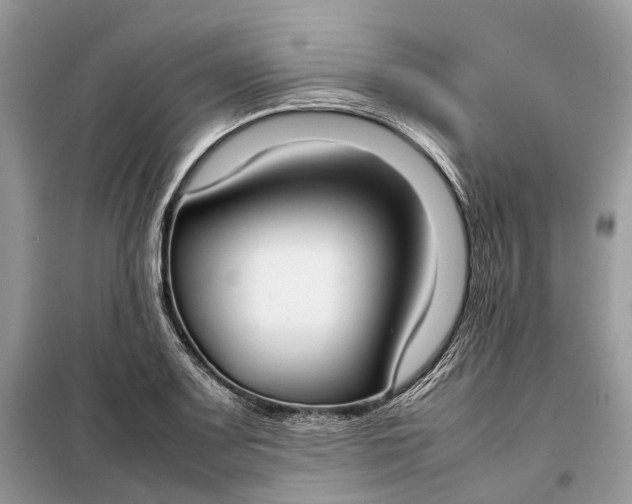 X0000099231083200805081551