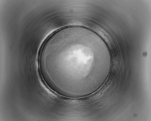 X0000099231084200805081551