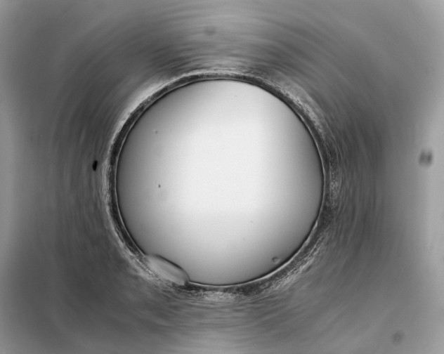 X0000099231085200805081551