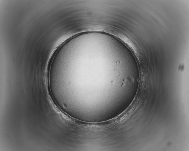 X0000099231088200805081551