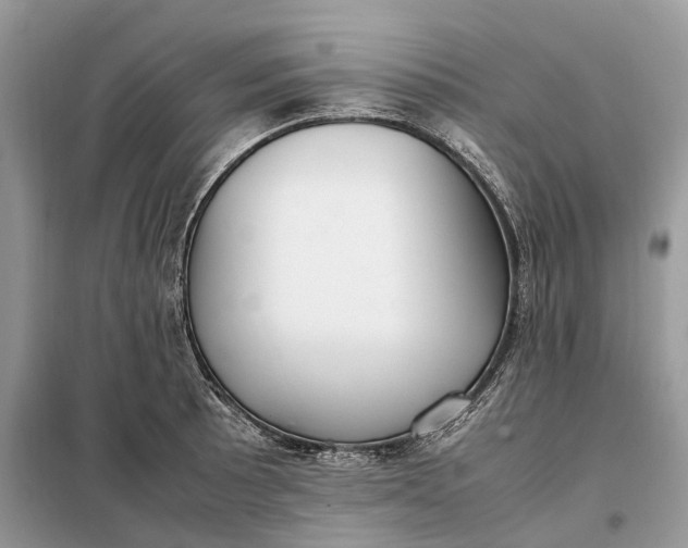 X0000099231089200805081551