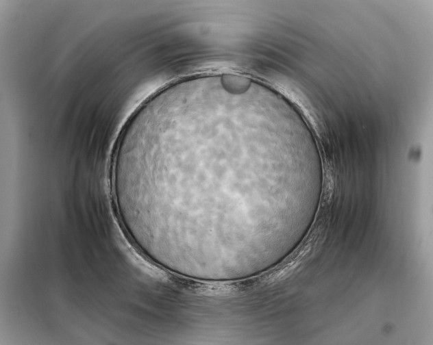 X0000099231090200805081551