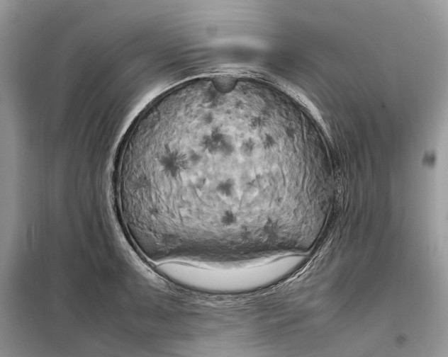 X0000099231091200805081551