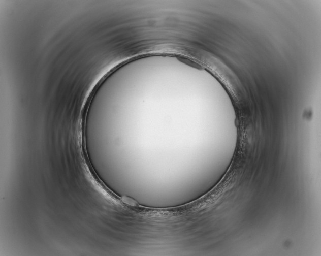 X0000099231092200805081551