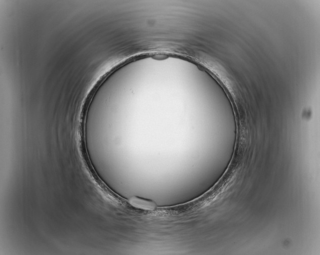 X0000099231093200805081551