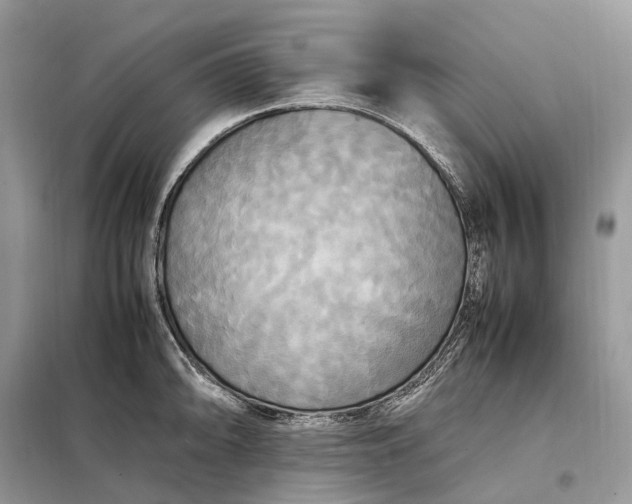 X0000099231094200805081551