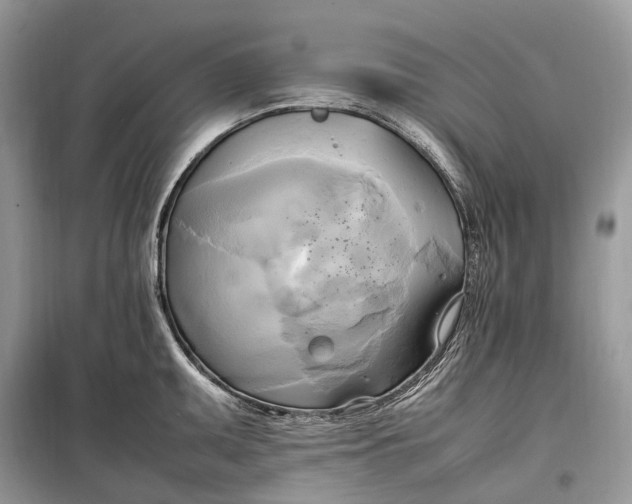 X0000099231095200805081551