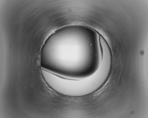 X0000099231097200805081551