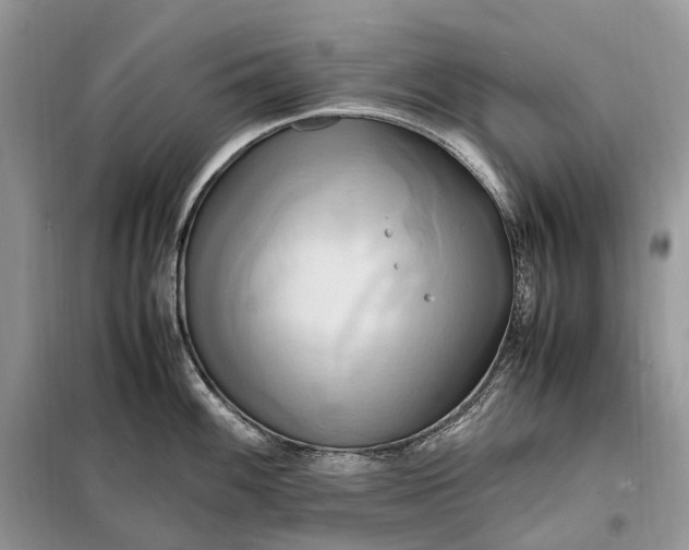 X0000099231100200805081551