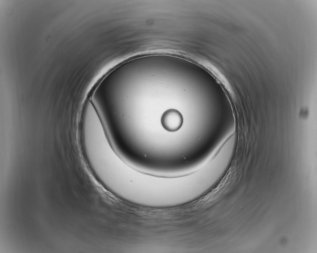 X0000099231101200805081551