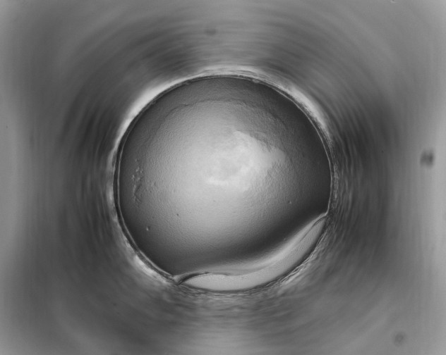 X0000099231102200805081551