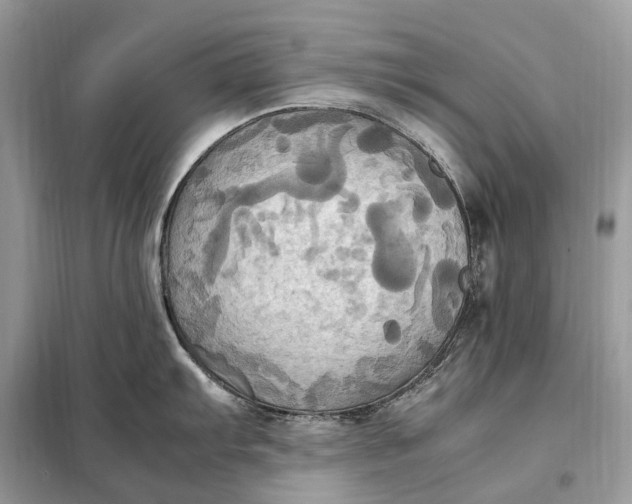 X0000099231103200805081551