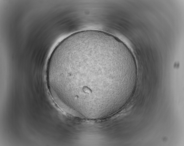 X0000099231104200805081551