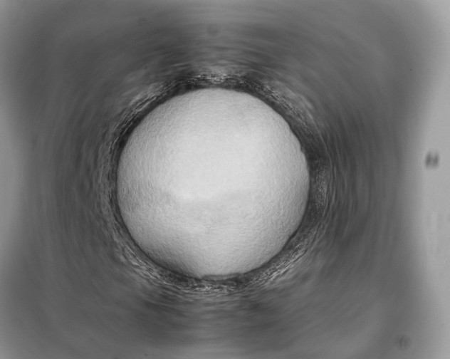 X0000099231105200805081550