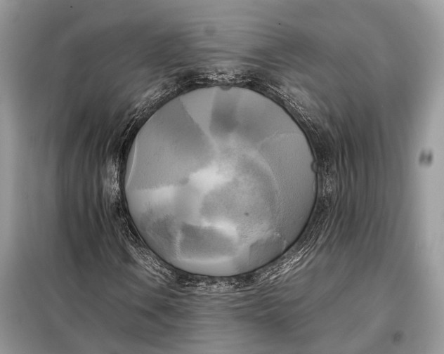 X0000099231106200805081550