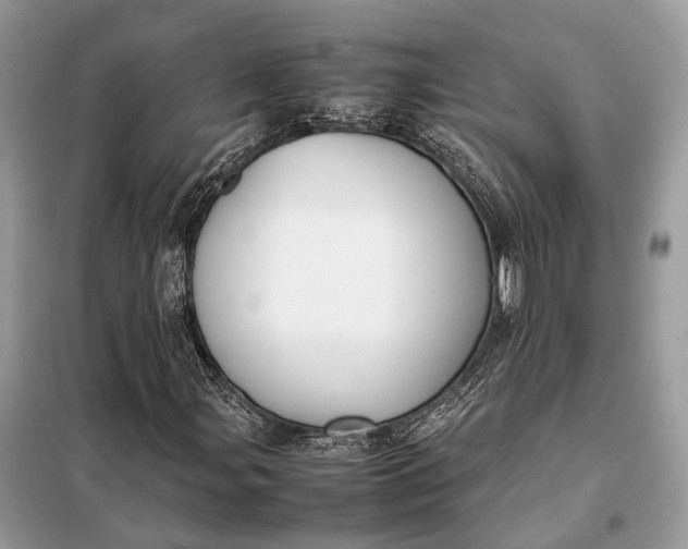 X0000099231107200805081550