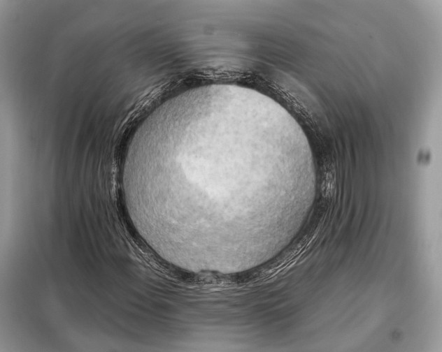 X0000099231108200805081550