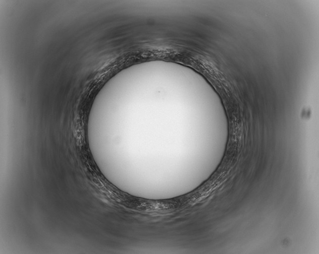 X0000099231109200805081550