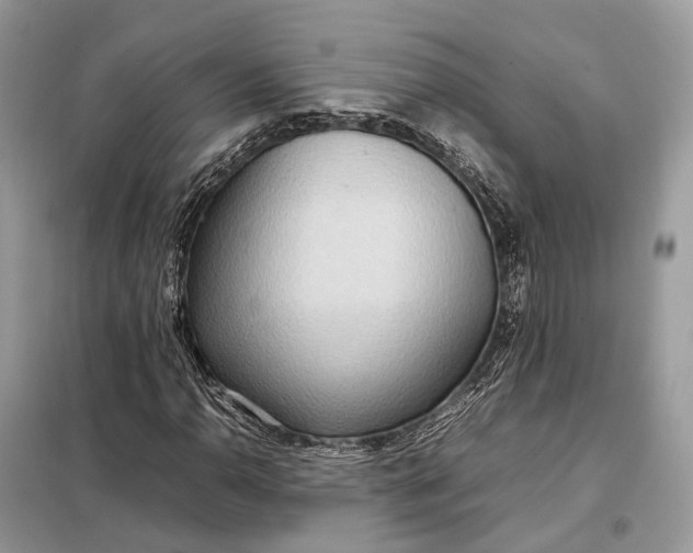 X0000099231110200805081550