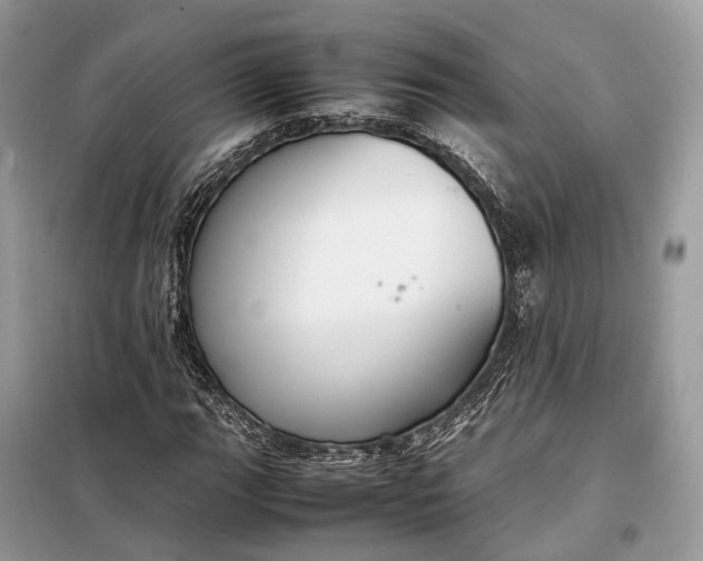 X0000099231111200805081550