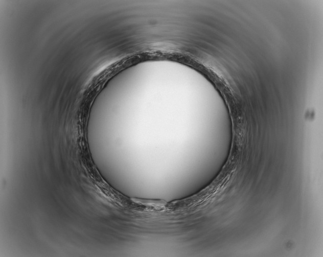 X0000099231112200805081550