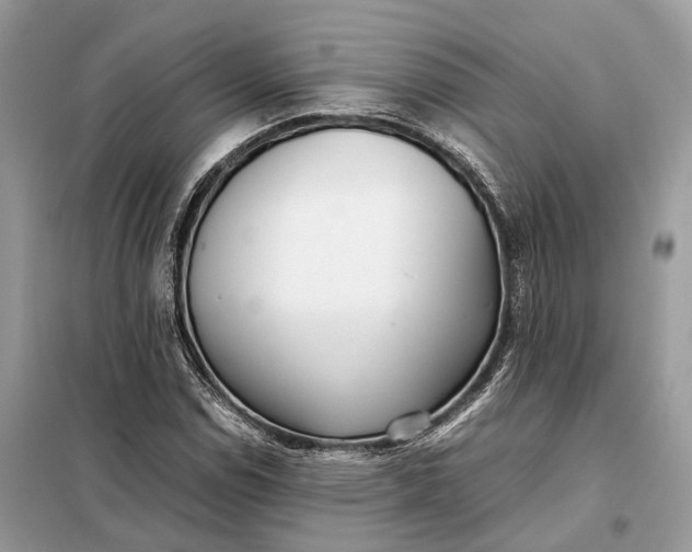 X0000099231114200805081550