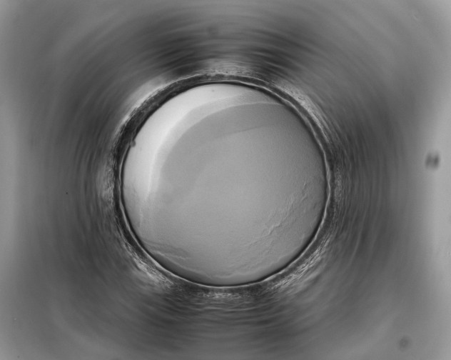 X0000099231115200805081550