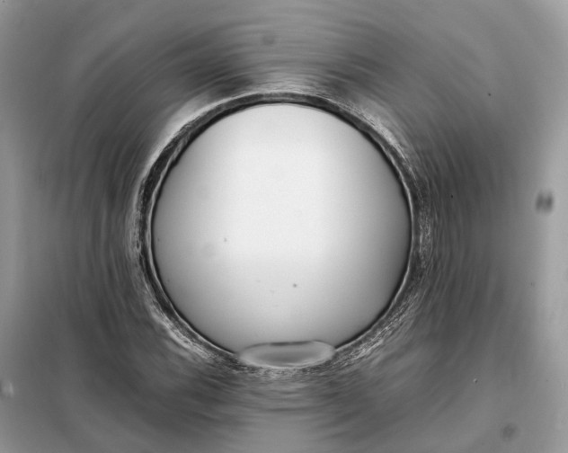 X0000099231116200805081550