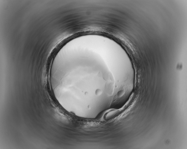 X0000099231117200805081550