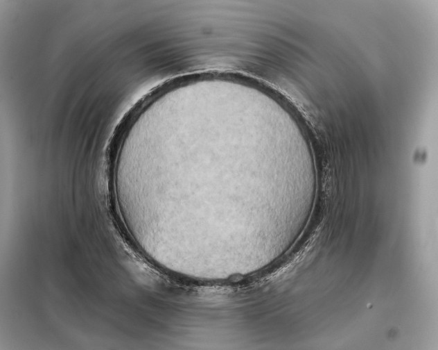 X0000099231118200805081550