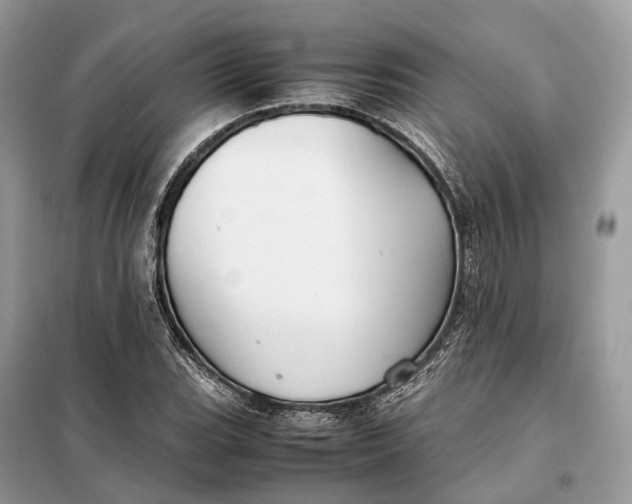 X0000099231119200805081550