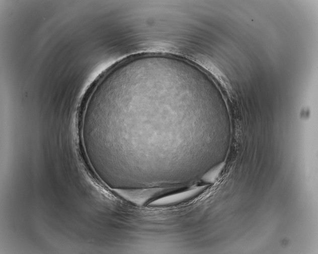 X0000099231120200805081551