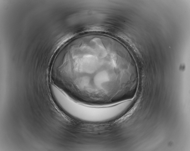 X0000099231121200805081551