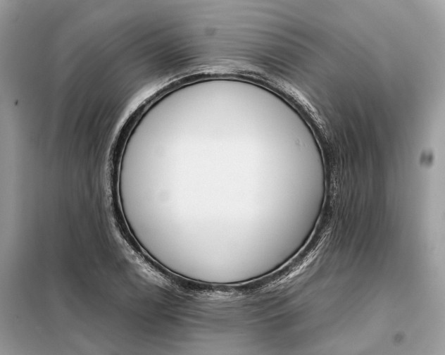 X0000099231122200805081551