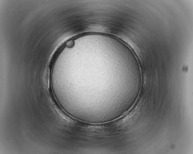 X0000099231123200805081551