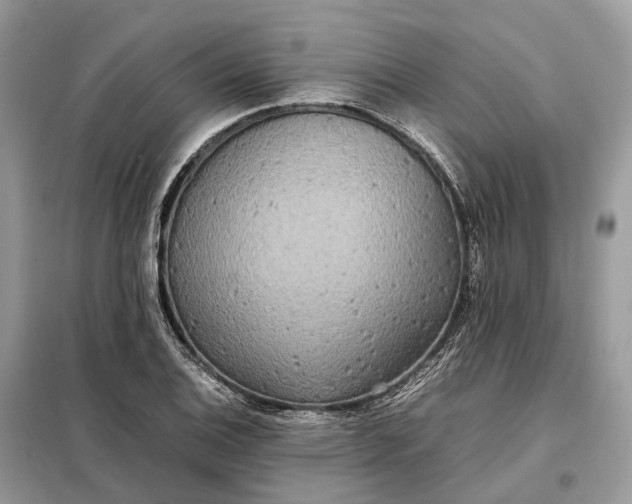 X0000099231124200805081551