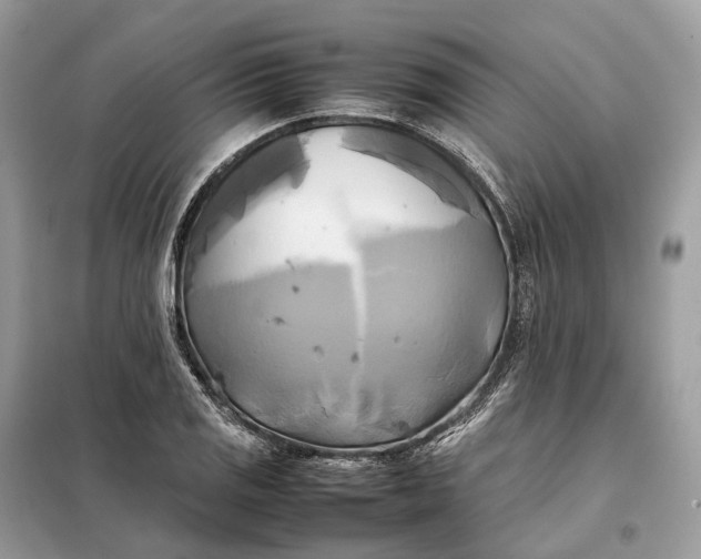 X0000099231125200805081551