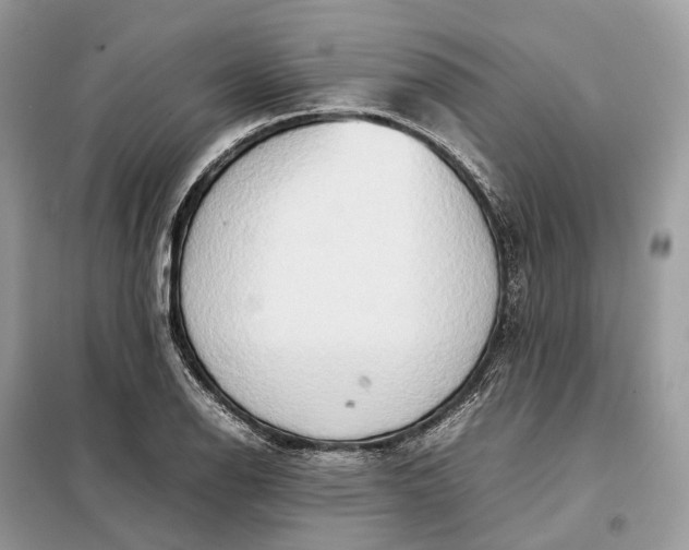 X0000099231126200805081551