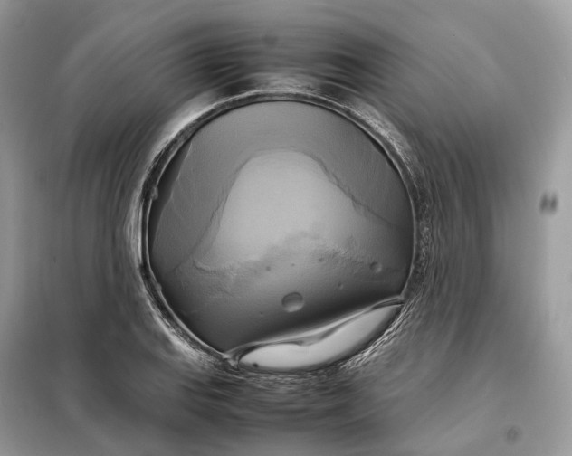 X0000099231127200805081551