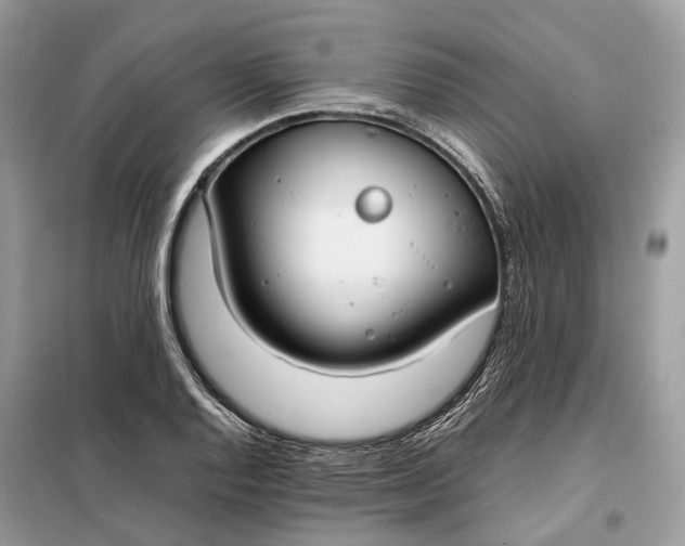 X0000099231128200805081551