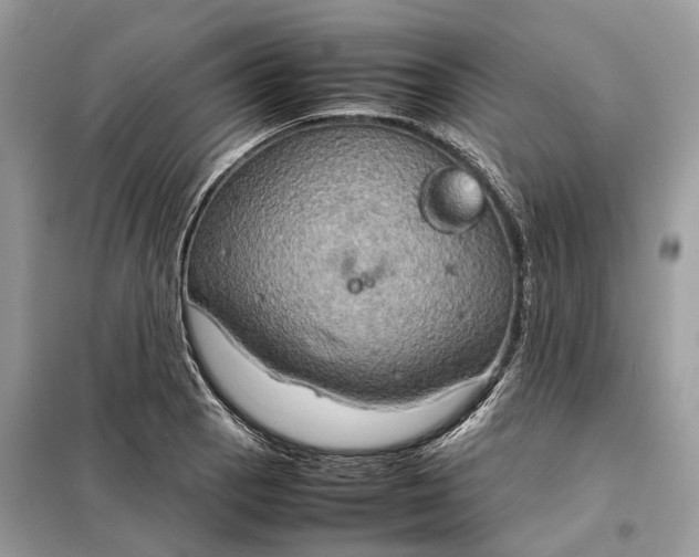 X0000099231129200805081551