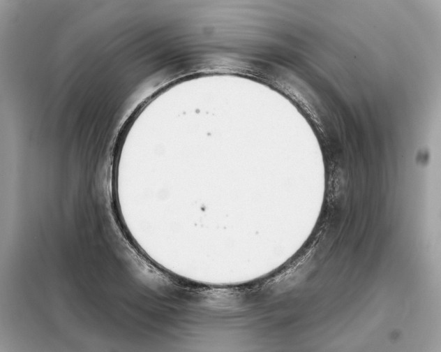 X0000099231130200805081551