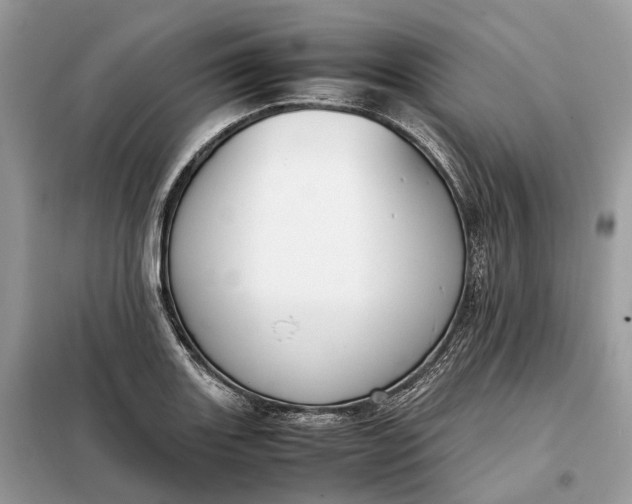 X0000099231131200805081551