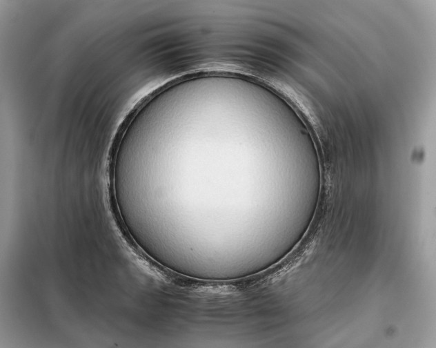 X0000099231133200805081551