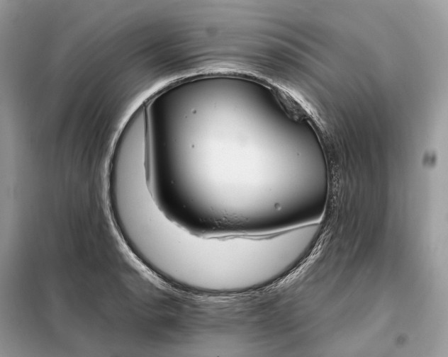 X0000099231134200805081551