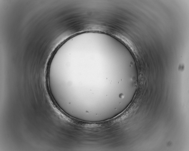 X0000099231135200805081551