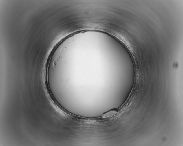 X0000099231136200805081551