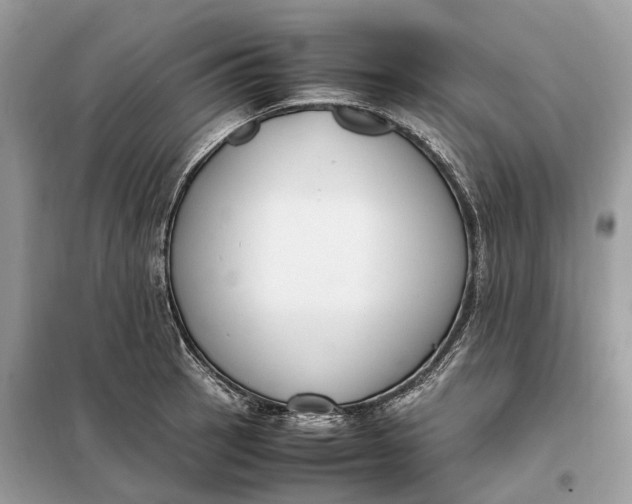 X0000099231137200805081551