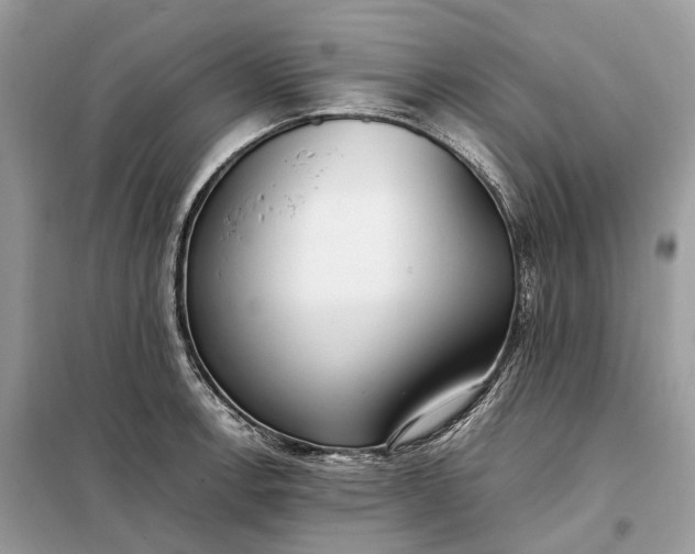 X0000099231138200805081551